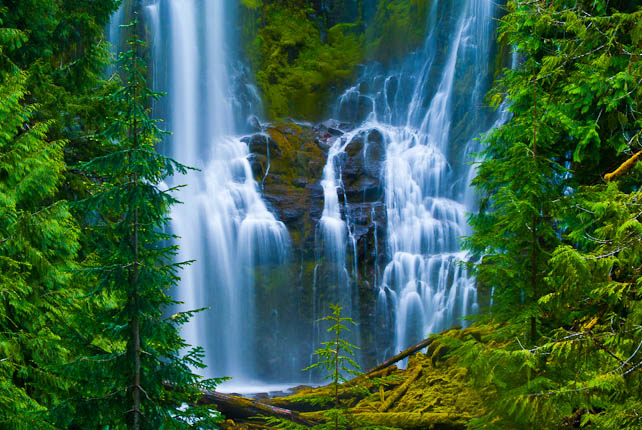 slideshow image